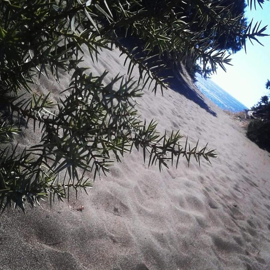 Cedrus And Sea, Beachfront House, Gennadi, Rhodes מראה חיצוני תמונה